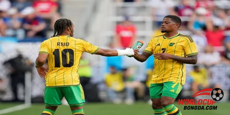 Các Yếu Tố Quan Trọng Ảnh Hưởng Đến Thành Công Của Jamaica