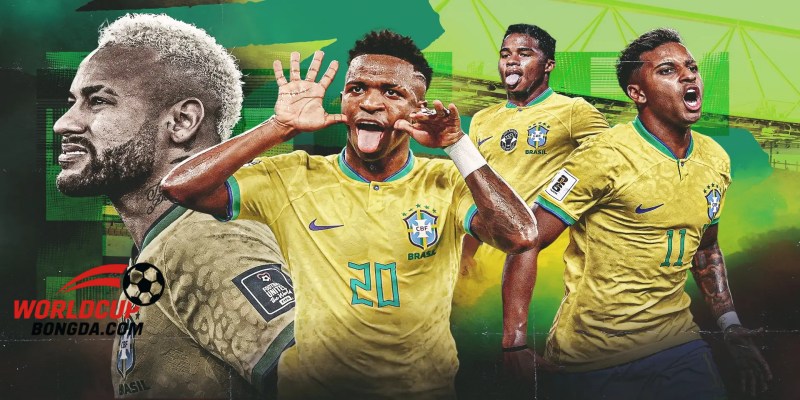Giới Thiệu Chung Về Brazil Trong Vòng Loại World Cup 2026