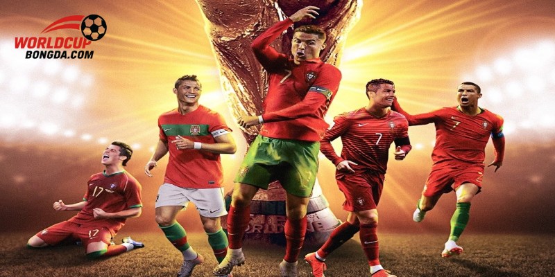 Địa Điểm Tổ Chức Trận Chung Kết World Cup 2026