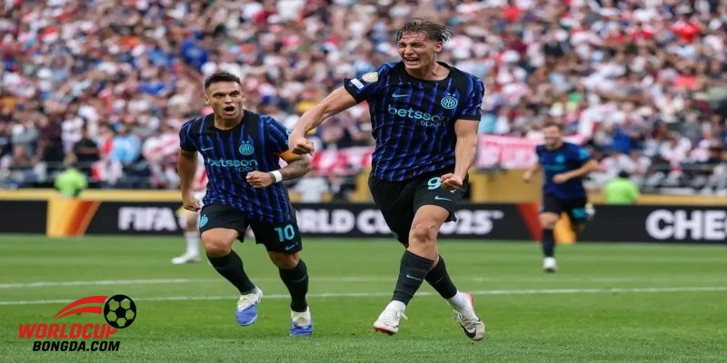 Tổng Quan Về Các Thành Phố Tổ Chức World Cup 2026