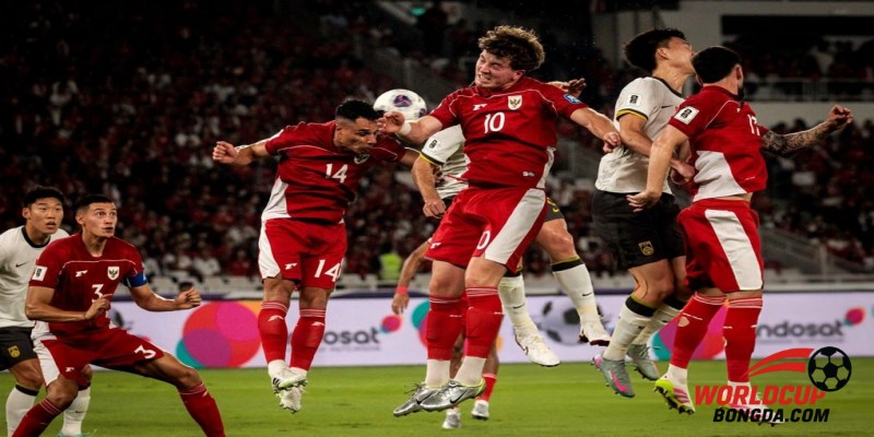 Tổng quan vòng loại World Cup 2026 và thời gian tổ chức