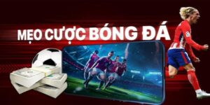 Phân Tích Dữ Liệu Trước Khi Đặt Cược