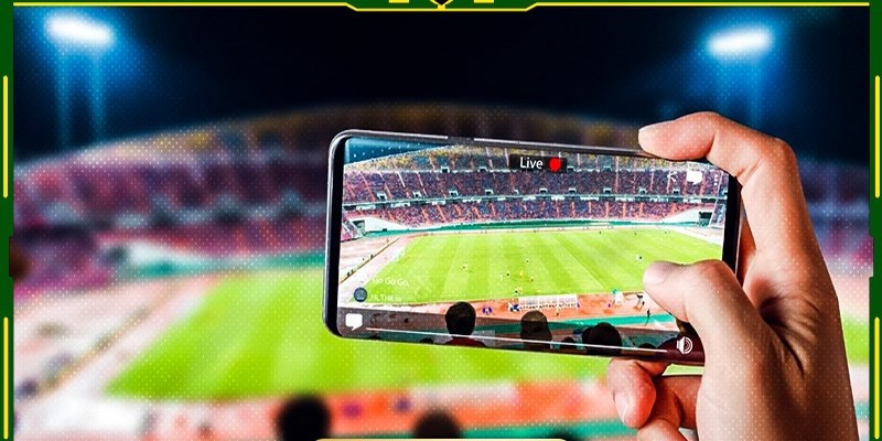 Yếu Tố Ảnh Hưởng Đến Cơ Hội Thành Công